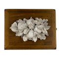 Wood and fruit panel